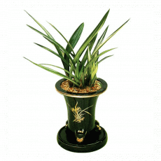 대훈
