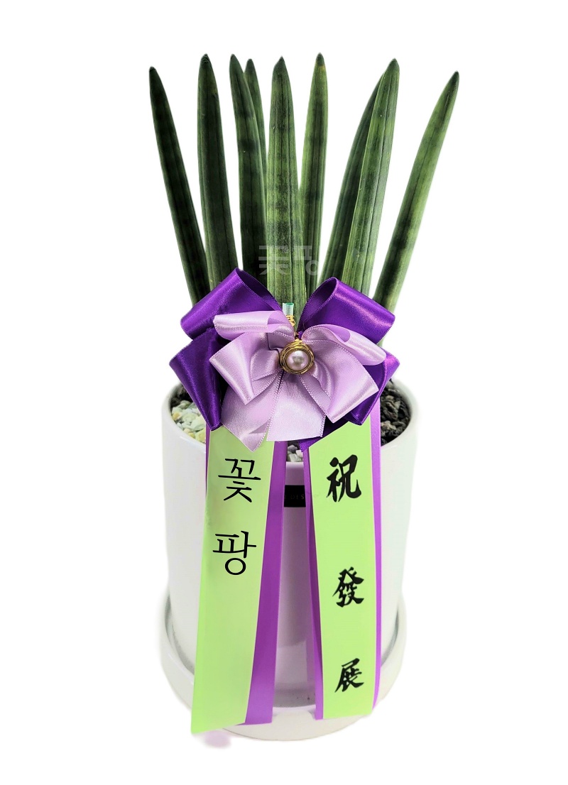 테이블용 스투키