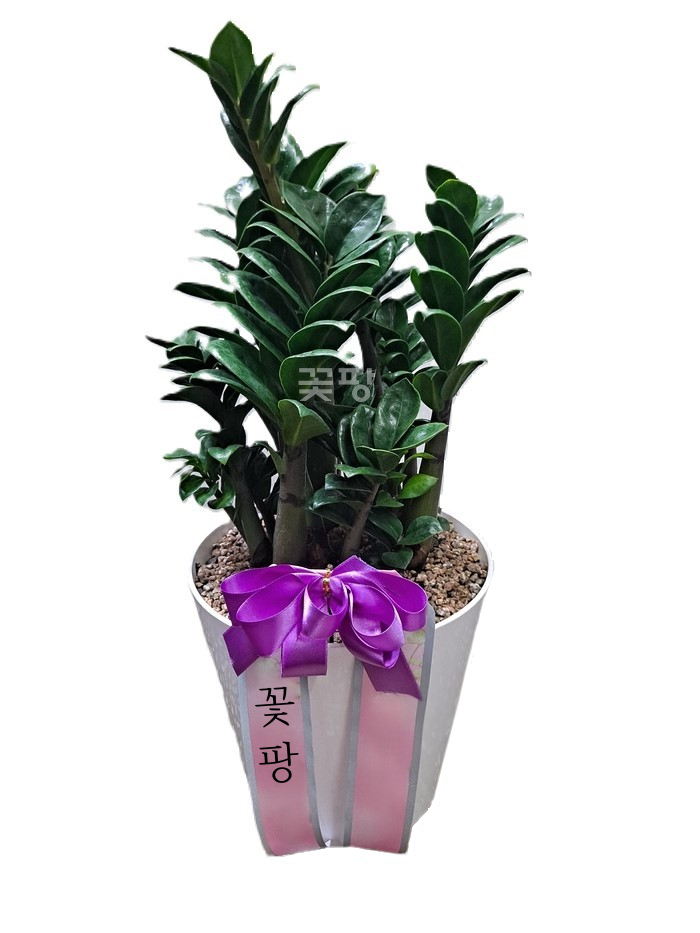 보석금전수 