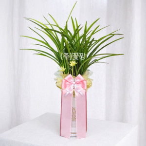 철골소심(일반분)