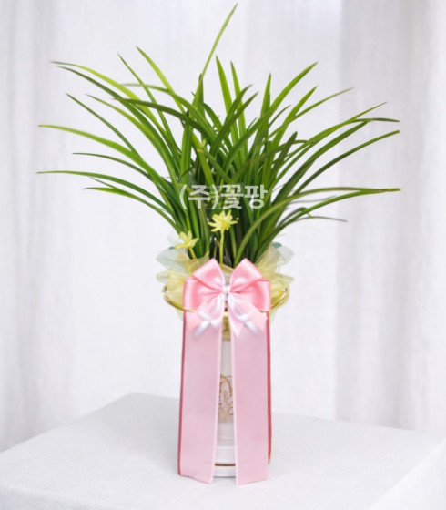 철골소심(일반분)