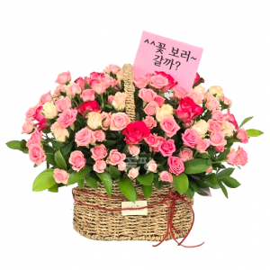 멜리플리어스