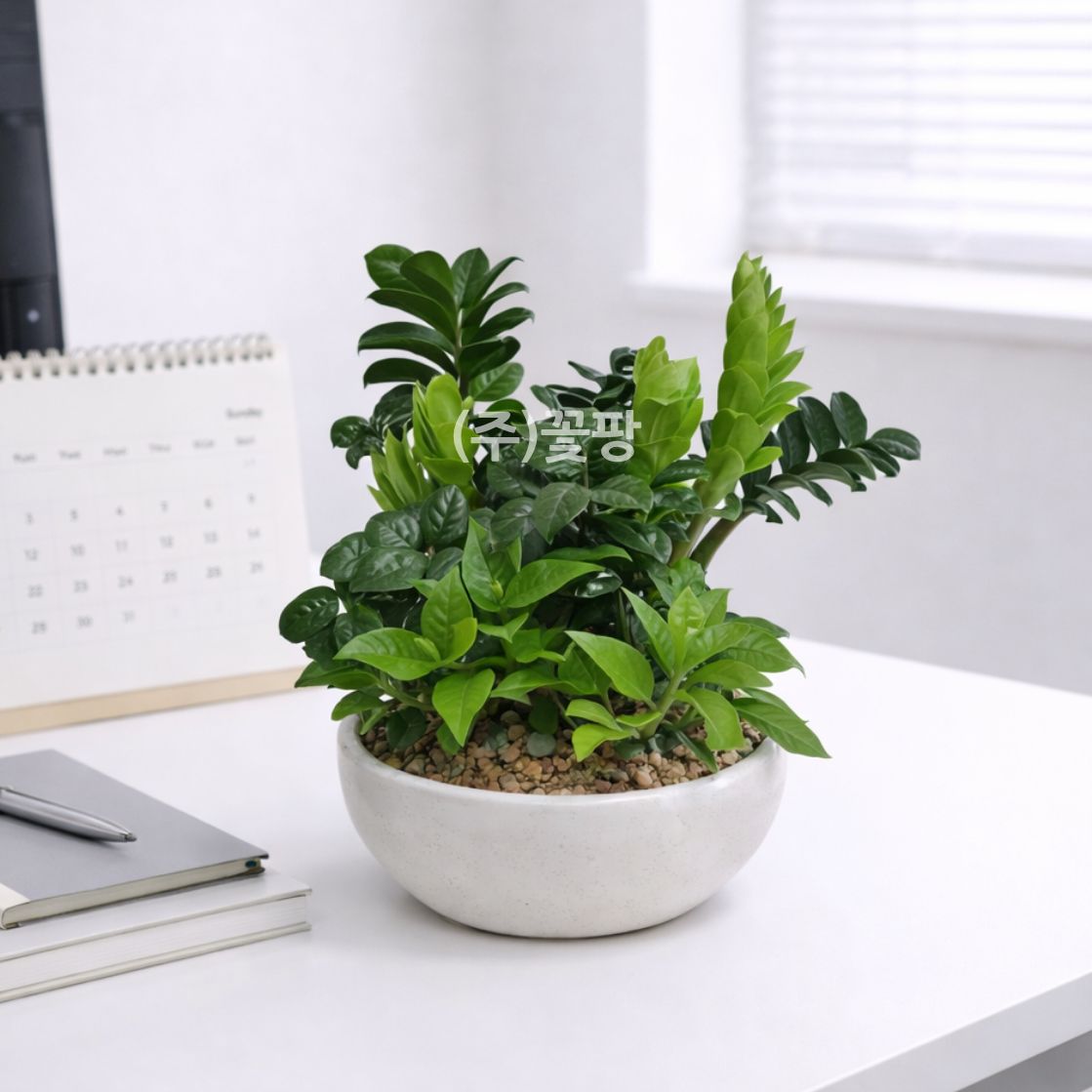 보석금전수혼합