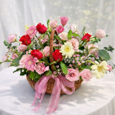 로지 데이라이트