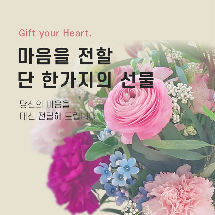 모바일 비쥬얼